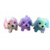 B/O Walking Rainbow Dog (12dz/Box)
