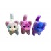 B/O Rainbow Cat (8dz/Box)