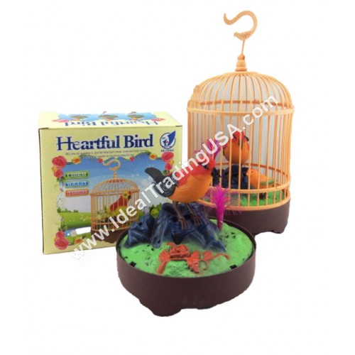 S/C Bird (36pcs/box)