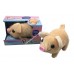 B/O PIG w/color box (48pcsbox)