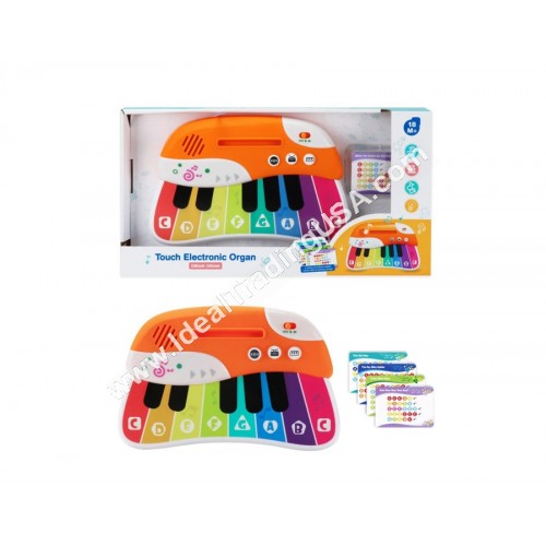 Touch Organ (24pcs/box)