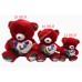 Teddy Bear Red  12" (48pcs/box)