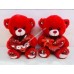 Teddy Bear Red 20" (9pcs/box)