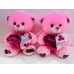 Teddy Bear Pink 16" (16pcs/box)