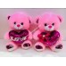 Teddy Bear Pink 20" (9pcs/box)