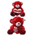 Teddy Bear Red 24" (6pcs/box)
