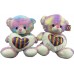 Teddy Bear Rainbow 24" (6pcs/box)