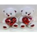 Teddy Bear White 12" (36pcs/box)